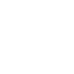 icon youtube